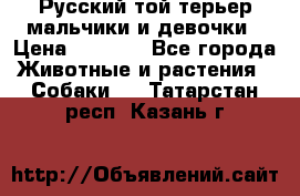 Русский той-терьер мальчики и девочки › Цена ­ 8 000 - Все города Животные и растения » Собаки   . Татарстан респ.,Казань г.